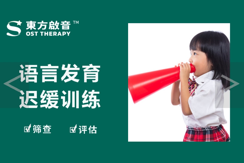 东方启音语言发育迟缓