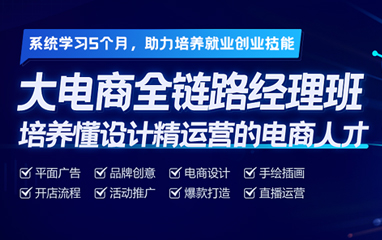 大电商全链路经理班