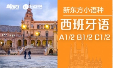 苏州新东方西班牙语辅导课程